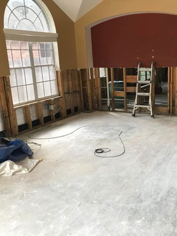 Best Mold Remediation Eater Damage Service